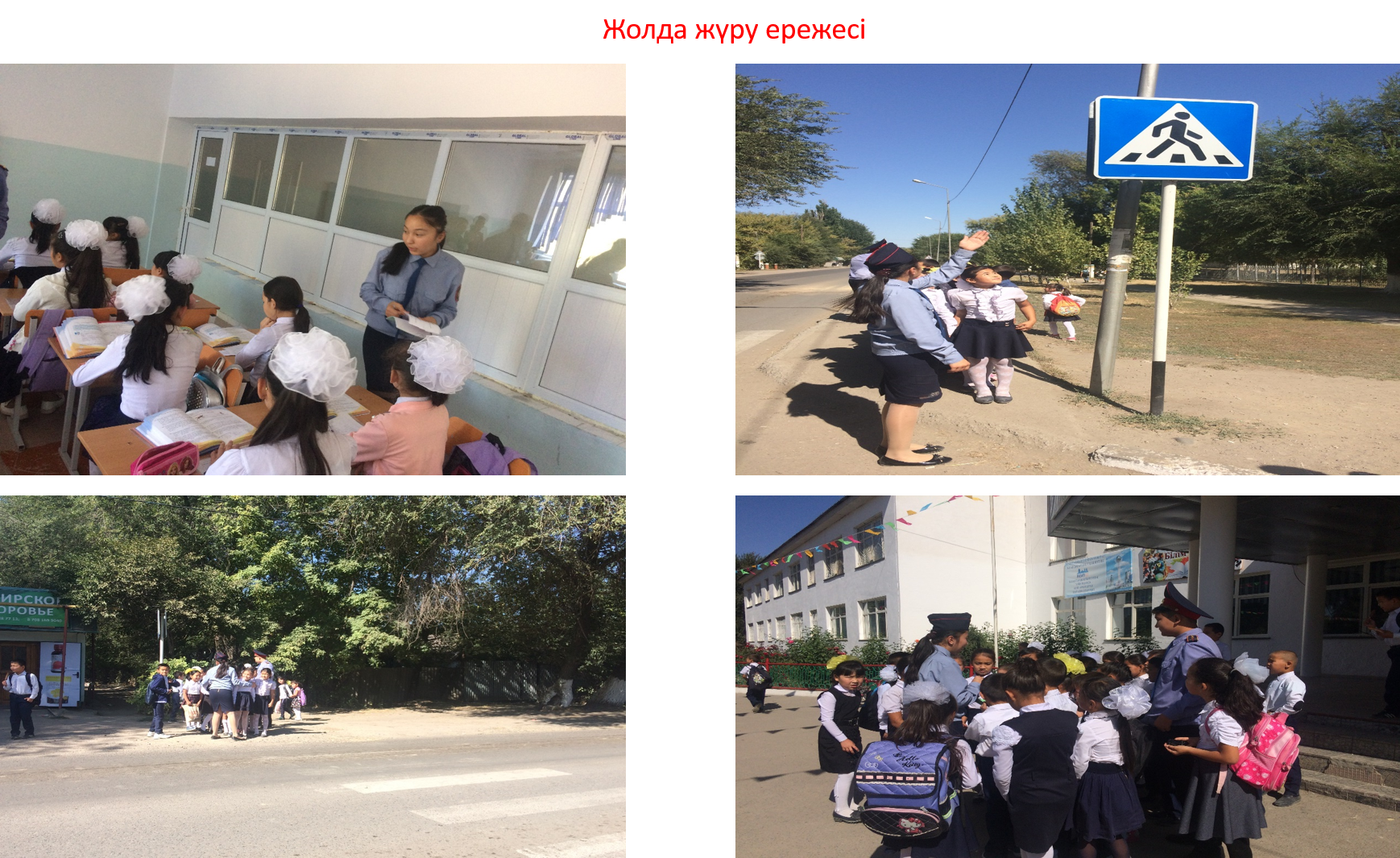 Жолда жүру ережесі